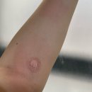 연세속편한의원 이미지