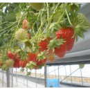 용범농장 이미지