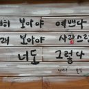들꽃찻집 - 안성시 원당로 236-1 | 들꽃찻집