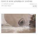 테라비트 이미지