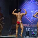 디노짐 이미지