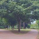 한아름공원1 이미지