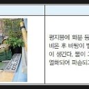 경기한펫 이미지