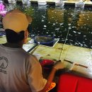 태공낚시 이미지