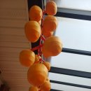 [주간메일 353] 한주 걸러 인사드립니다. 이미지