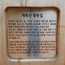 8월25일 대전 계족산 황톳길(맨발걷기) 장동산림욕장 트레킹+한밭수목원 이미지