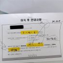 평촌수약국 | [#시험관1차] 평촌 마리아 병원. 첫 신선배아 4일 배양 이식 당일 후기 (수정란 7개 중 2개)