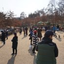 피부놀이터
