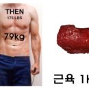 최고GYM