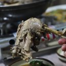 장흥황토마당 이미지