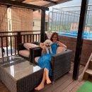 클린독 펜션 이미지