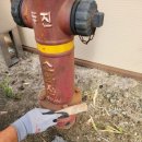 새로미 | 대전 페인트 꼼꼼하게 하는 새로미 후기