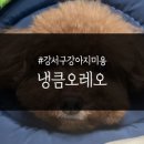 냉큼, 오레오 네이버블로그