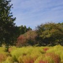 애견가을농장 이미지