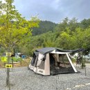 금평1 | 김제 모꼬지 캠핑장 D존 애견동반 후기 / 금평저수지 낚시