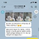 기운내 동물병원 이미지