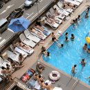 해밀톤수영장(실외) 이미지