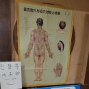 전방자수정비취사우나 | 산곡동 마사지 한인성테라피 부평에서 최고