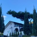 신정길 77 이미지