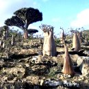 환상의섬 이미지