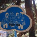 잔디휴가중 이미지