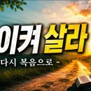 [새로운 찬양곡] 돌이켜 살라 ㅣ HAN 이미지