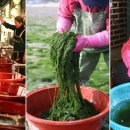 용정3리 이미지