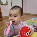 본텔 | 어린이 고불소 치약 올바른 사용방법, 베르단테 1450 후기