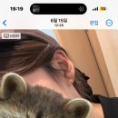 디저트만드는언니들 이미지