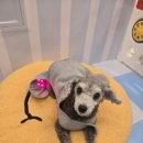 숲 동물병원 펫스테이션점 이미지