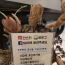 힐링보보하우스 이미지