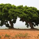 바다마실 이미지