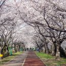 현대오일뱅크(주)감전주유소 네이버블로그