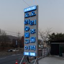 황제오리 | 밤일마을 오리고기 맛집 [황제오리]황제2호 오리 주물럭 솔직 후기