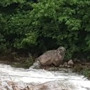 말래펜션 이미지