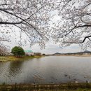 아름다운풍경 | 3월 화랑유원지 여행 후기, 봄을 닮은 아름다운 여행 풍경에 반했어요