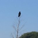 오륜대로 이미지