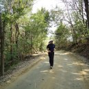 과수원길 이미지