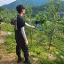 (주)디자인사과나무