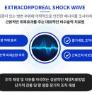 더품의원 이미지