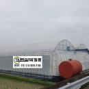 크린알파필름 이미지