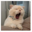또박이공방