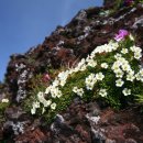 제주기억 이미지