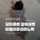 아기여름옷 추천! 모이몰른 비올라화섬아노락 상하의세트 후기