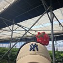 지니네 | 창원 아이랑 가볼만한곳 지니네 딸기체험 (가격, 예약 방법)