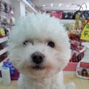 폴리파크 반송점 이미지