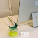 (주)유니크노동조합 | 화병vase에서도 재미가 철철 넘치네! Ju.(주)의 앞뒤다른 오브제(화병/티라이트 홀더)