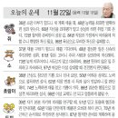 📛오늘의운세11월22일(수요일) 이미지