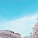 올레길에국수잔치 이미지