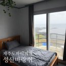 제주도게스트하우스파티바랑쉬성산점 | 제주도 파티 게스트하우스 여자 혼자 후기 서귀포 가성비 오션뷰 숙소 성산 바랑쉬게스트하우스